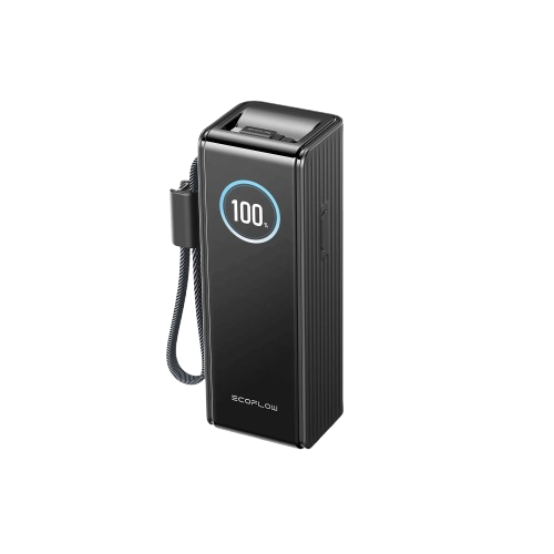 Павербанк EcoFlow RAPID Power Bank с кабелями 25000mAh черный