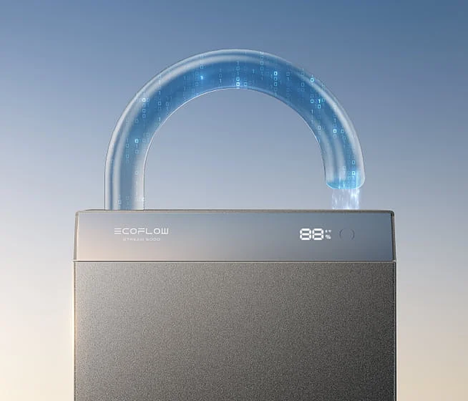 EcoFlow protected energy system